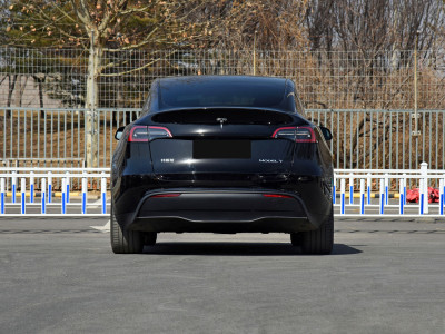 Tesla Model Y  Фото №5
